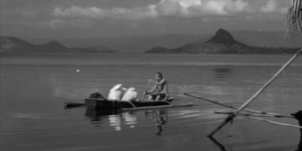 Scene from "Essential Truth of the lake"