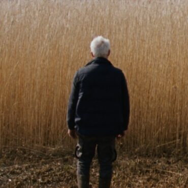 Reedland