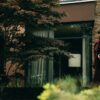 “Bugonia”, interview with director Yorgos Lanthimos and actors Emma Stone and Jesse Plemons
