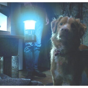Good Boy film 2025 interview Ben Leonberg and Kari Fischer