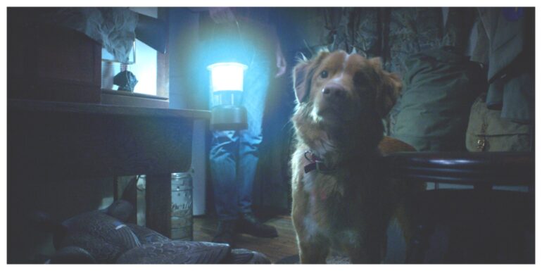 Good Boy film 2025 interview Ben Leonberg and Kari Fischer