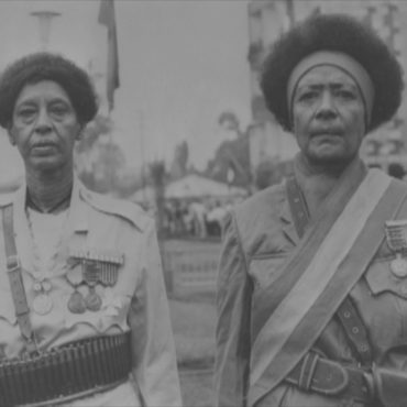 Black Lions - Roman Wolves