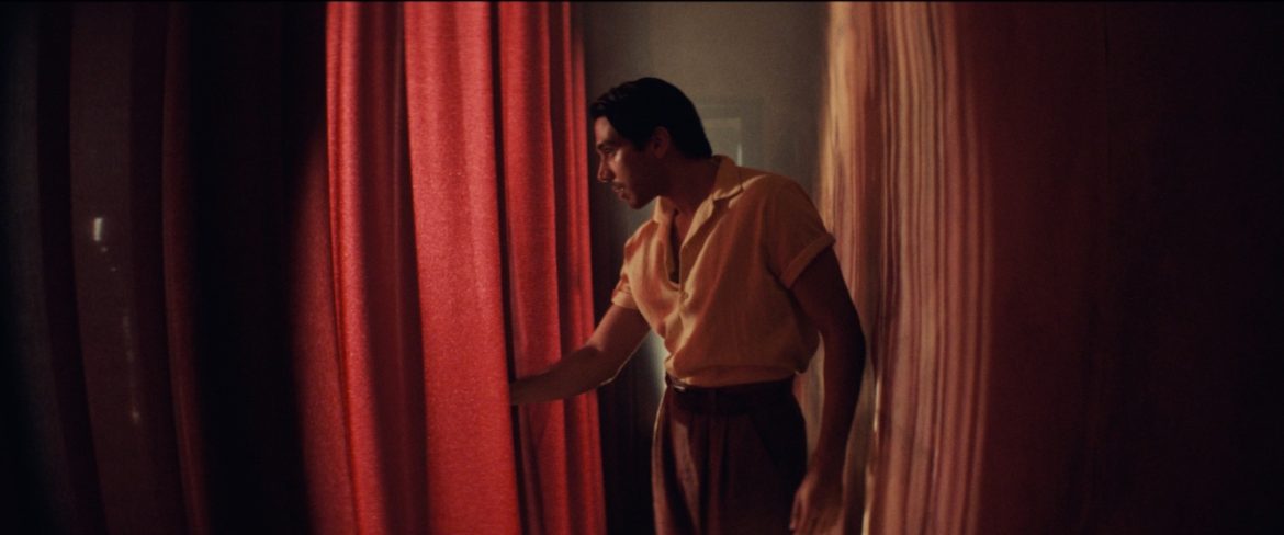 Diro Romero in Narciso by Marcelo Martinessi