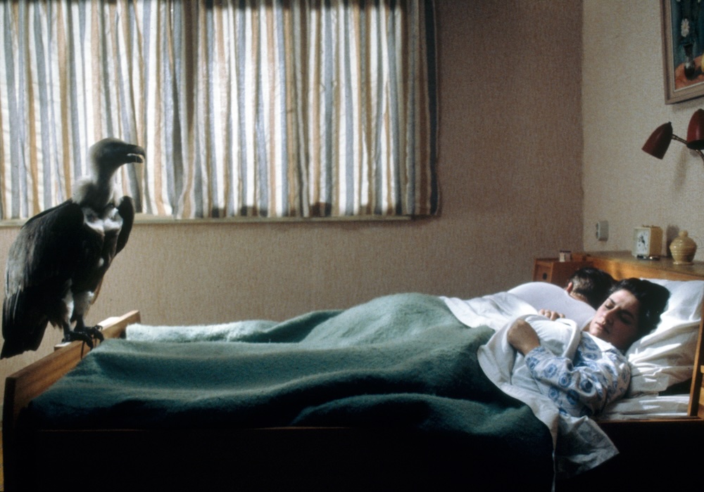 a scene from The Northeners by Alex van Warmerdam