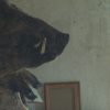 “Too Many Beasts”, an interview with director Sarah Arnold