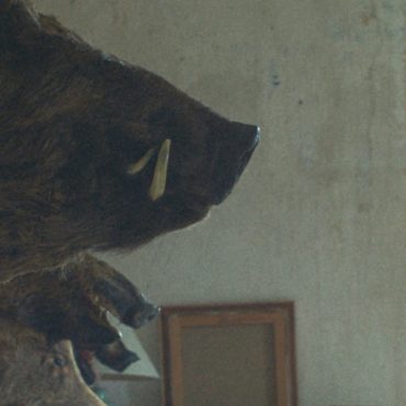 Alexis Manenti in Too Many Beasts (L'Espèce explosive) Copyright Pan Distribution