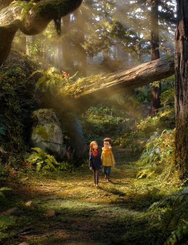 Wildwood Thibault Leclercq Alice nella Città 2026 Roma LAIKA Studio